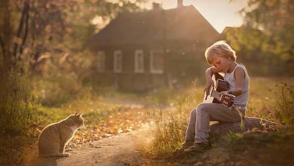 Лето в деревне