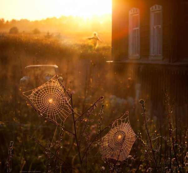 Душевные картинки