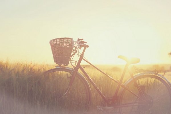 Лето ностальгия