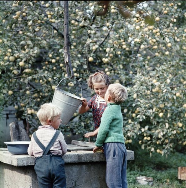 Фотограф семён Осипович Фридлянд дети