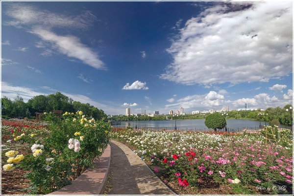 Лето в Донецке