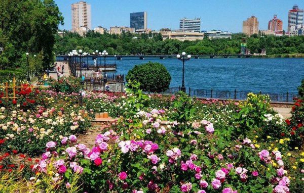 Парк Щербакова Донецк розы