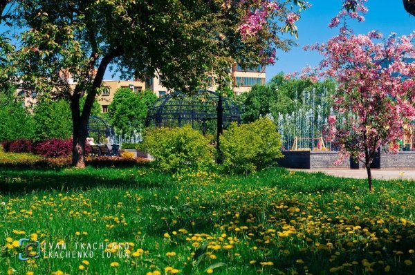 Лето в Донецке