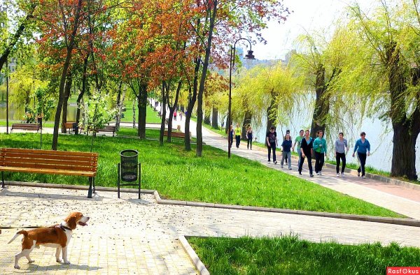 Парк на Донецкой улице