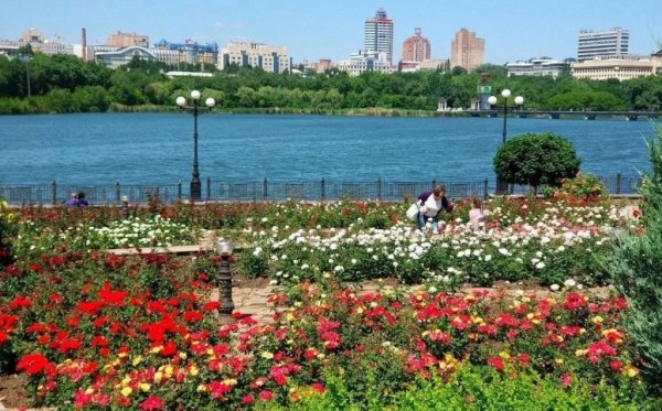 Парк Щербакова цветник Донецк