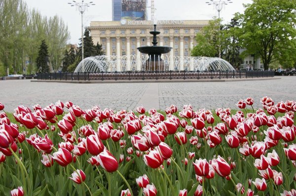 Донецк весной парк Щербакова