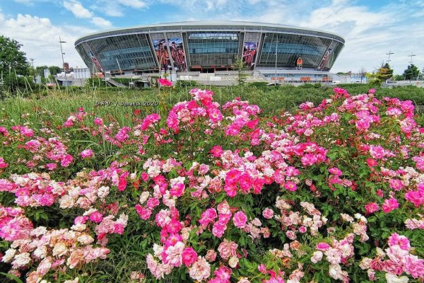 Розы на Донбасс арене