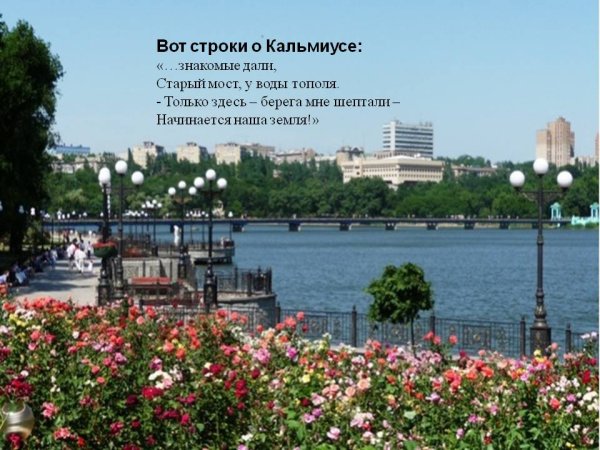 Донецк Украина парк Щербакова