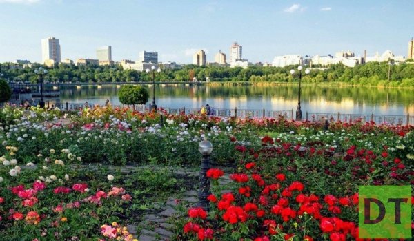Донецк город миллиона роз