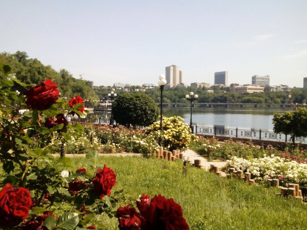 Город роз Донецк парк Щербакова