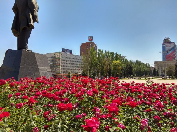 Донецк площадь Ленина розы