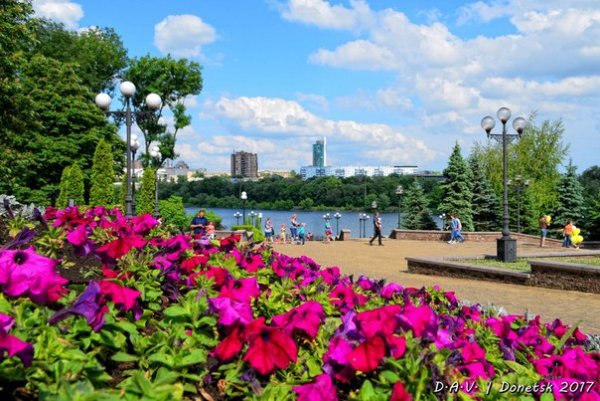 Парк Щербакова розы