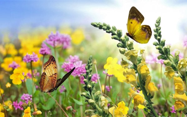 Море солнце пляж