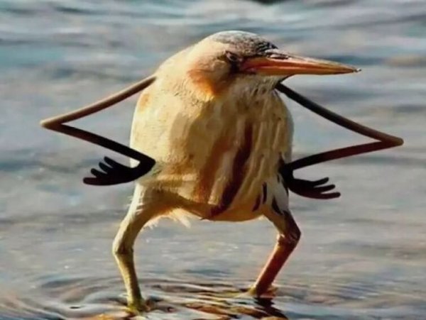 Мемы про ревнивых женщин