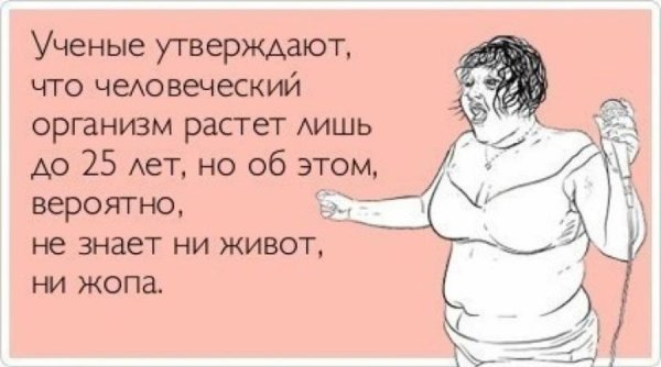 Приколы про жару