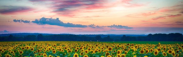 Панорама природа лето