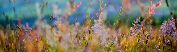 Пейзаж панорама