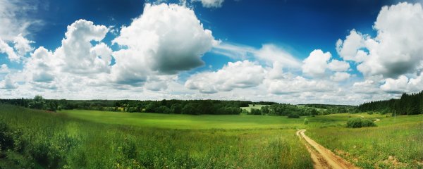 Лето панорама