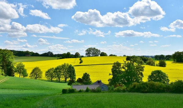 Поля, Луга, пашня, пастбища