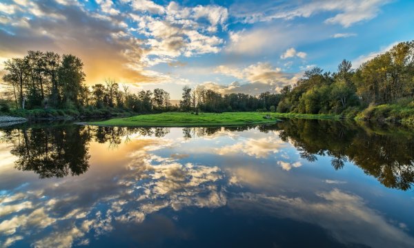 Небо и деревья