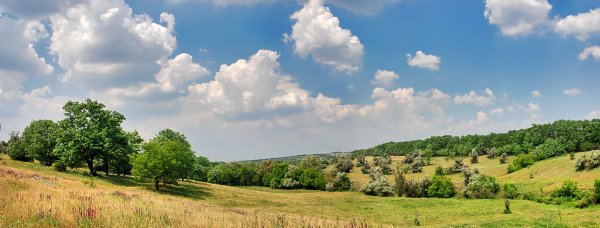 Поле панорама