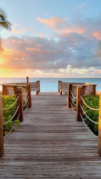 Лето природа