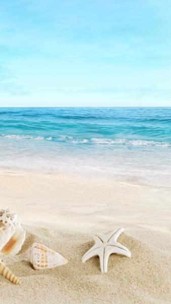 Летняя природа с цветами