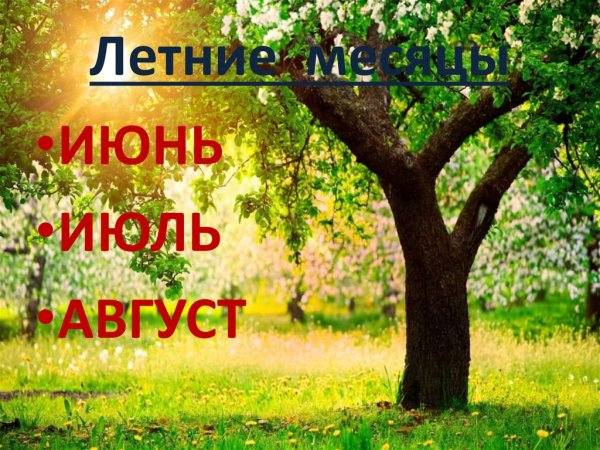 Летние месяцы для дошкольников
