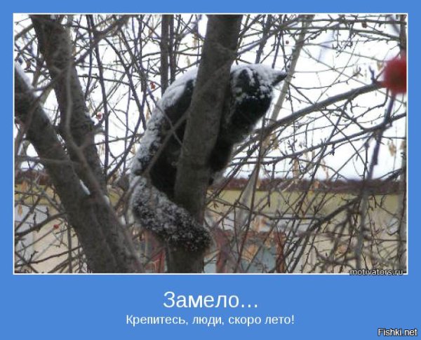 Люди скоро лето