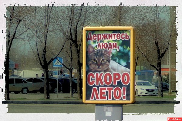 Томичи в купальниках в Мороз