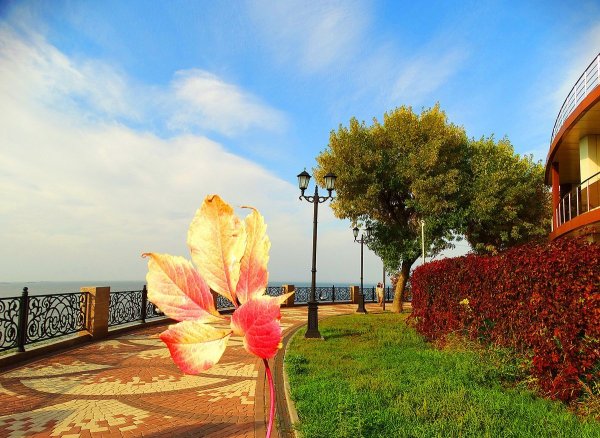 Город Ейск набережная