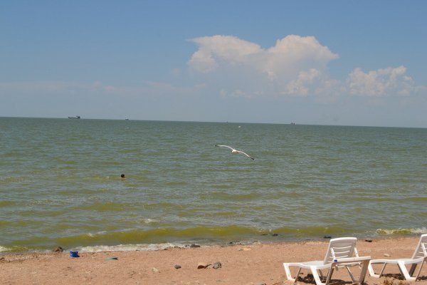 Азовское море Ейск