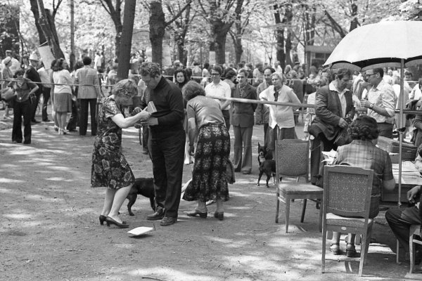 Советская деревня 1940