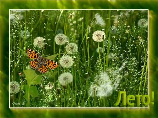 Последние деньки лета