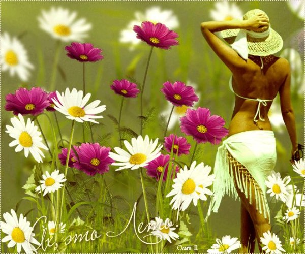 Пожелания доброго утра с ромашками