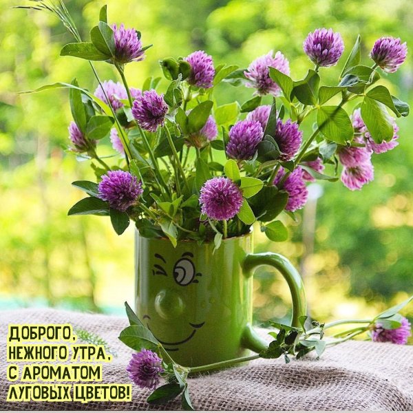 Прекрасного летнего дня