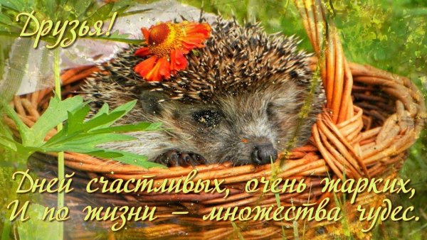 Волшебного дня и прекрасного настроения