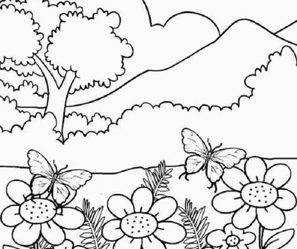 Раскраска занятия детей летом