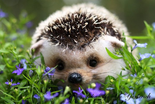 Животные весной