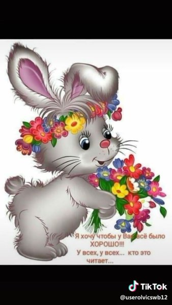 Красота природы животные