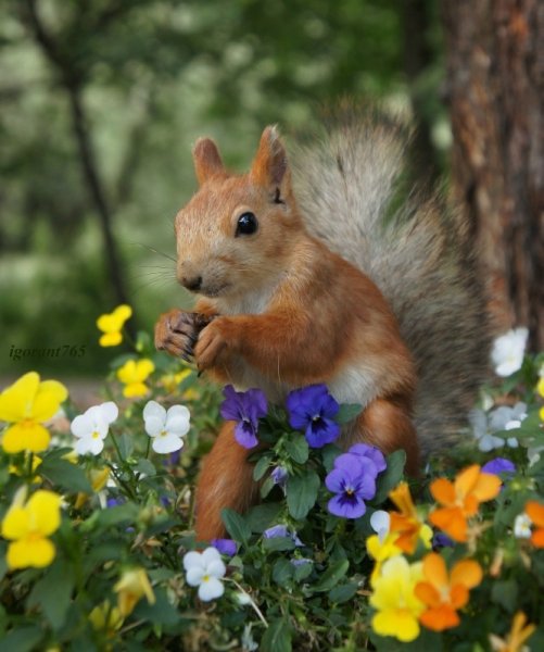 Животные весной