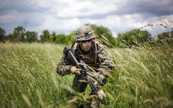 Военные картинки