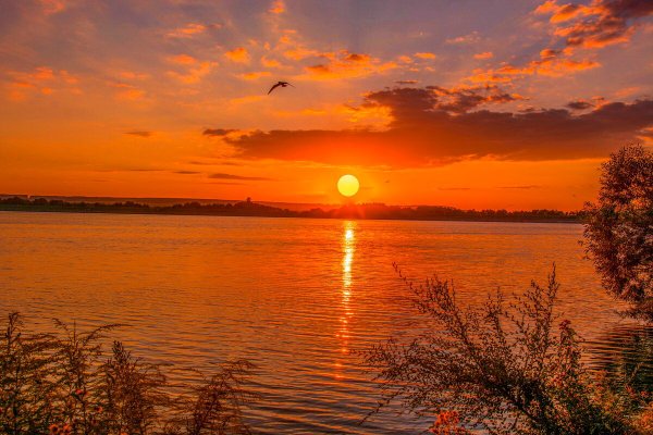 Красивый летний закат