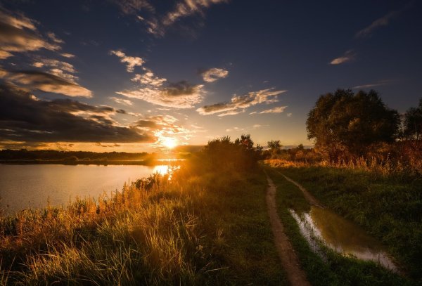 Пейзаж. Летний закат