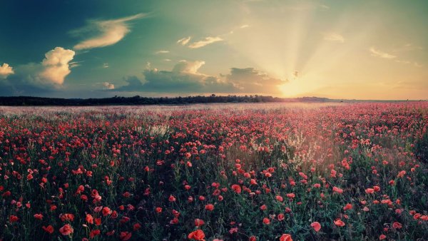 Летний закат на море