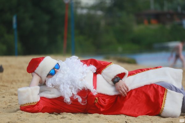 Дед Мороз и елочка