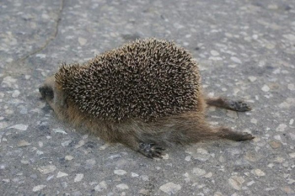 Неделя до каникул