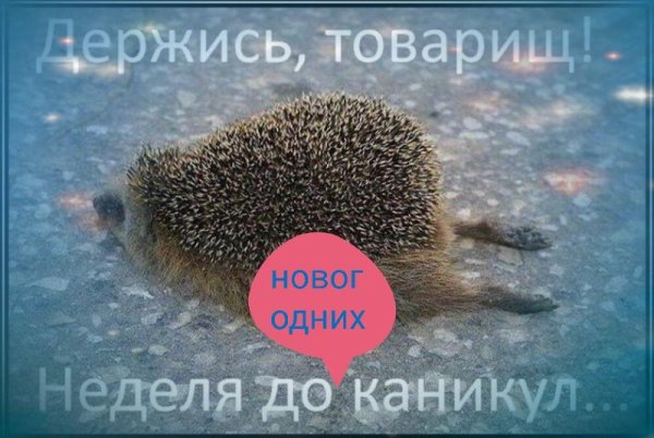 Лето уже скоро