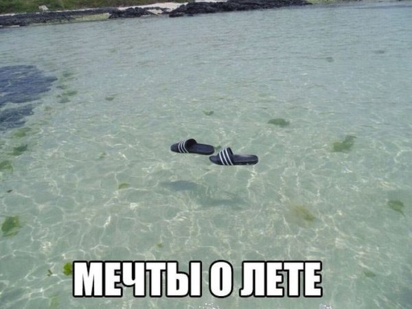 Смешные картинки о лете