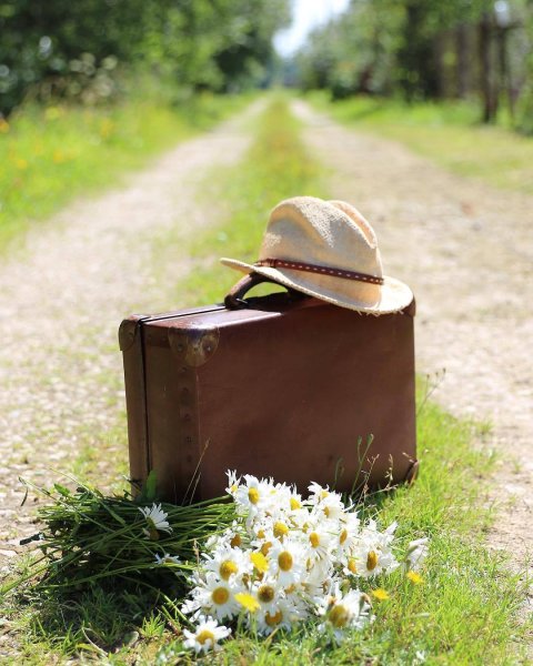 Собранный чемодан на море